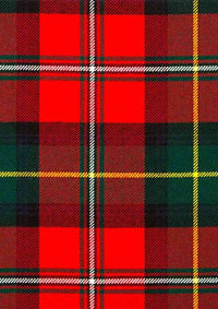 Custom Made Body Modern Tartan Fabric