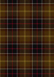 Barbour Tartan Fabric