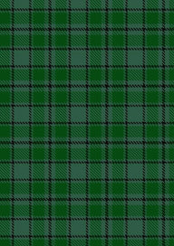 Campbell Simpson Tartan Fabric