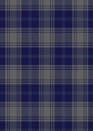 Edwards Tartan Fabric