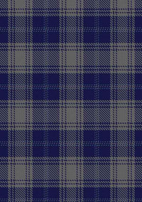 Edwards Tartan Fabric