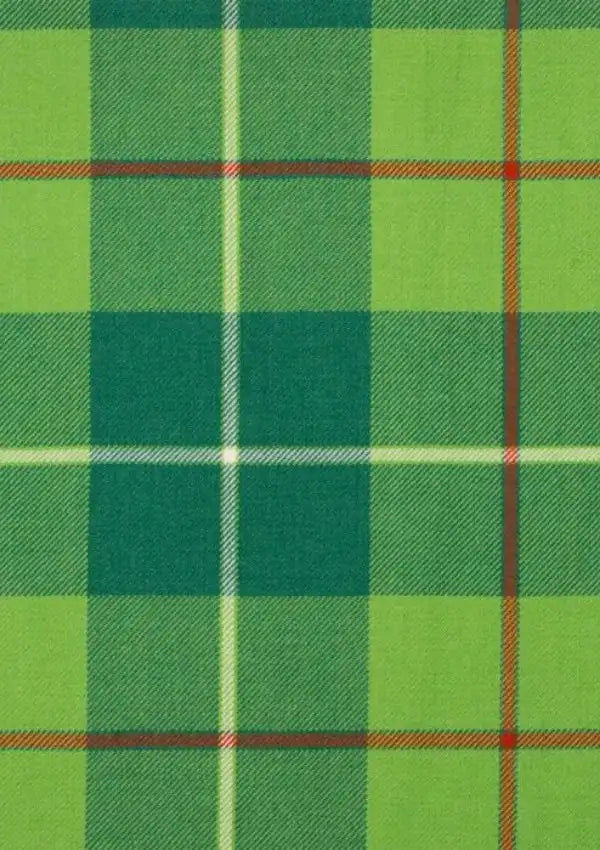 Galloway Hunting Tartan Fabric