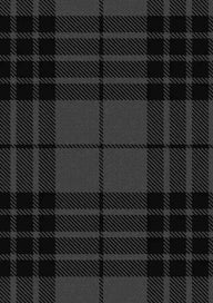 Grey Spirit Tartan Fabric