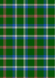 McClure Niall Tartan Fabric