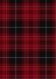  Pride Of Wales Tartan Fabric