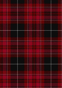  Pride Of Wales Tartan Fabric