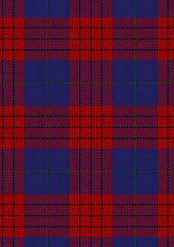 Robinson Dress Tartan Fabric