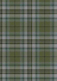 Spirit Of Loch Ness Tartan Fabric