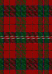 Thomas Of Wales Tartan Fabric