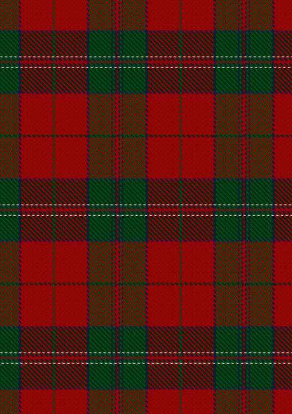 Thomas Of Wales Tartan Fabric