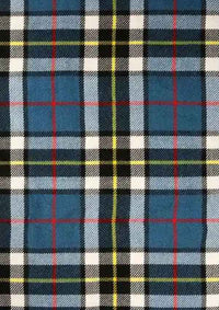 Thompson Tartan Fabric